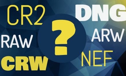 Arquivo RAW, DNG, CRW, CR2, NEF, ARW – Porque  tantos formatos?